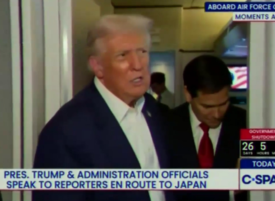 The “Low IQ” Lie and the Cowards Who Tell It